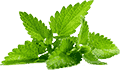 行业领先软件的小七手机号在线网页轰炸